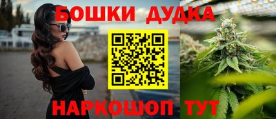 мдпв Партизанск